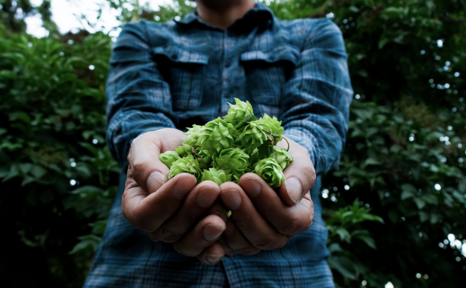 Enfin l’heure du tourisme brassicole ?